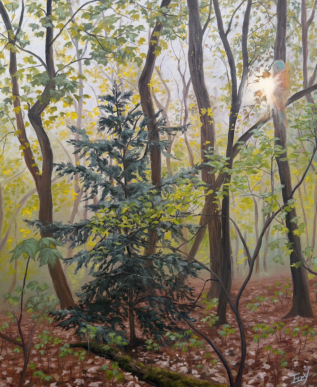 "Hazy Forest of Reverie" - UNIKAT - Öl auf Leinwand - 50cm x 60cm